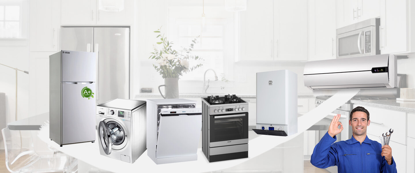 Çayeli Electrolux Servisi